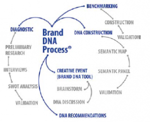 Fig. 2 - Brand DNA Process® diagram